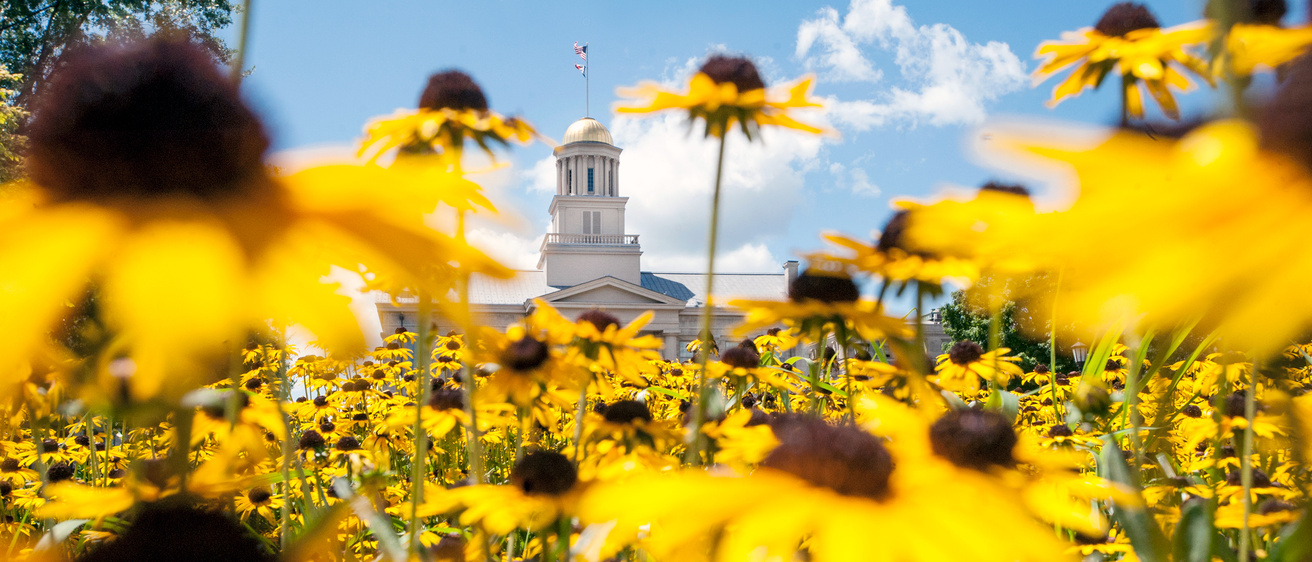 The University of Iowa's Old Capitol building viewed through bright yellow flowers.