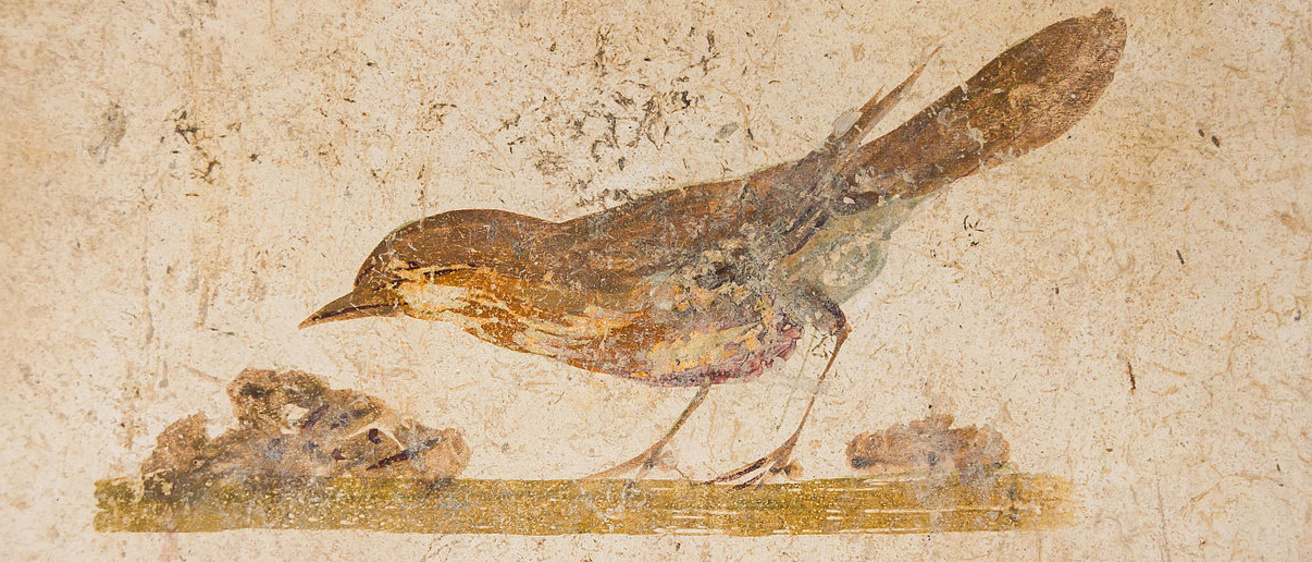 bird painting